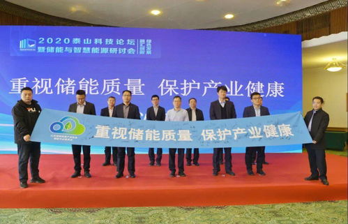 2020泰山科技論壇暨儲(chǔ)能與智慧能源研討會(huì)在濟(jì)南成功舉辦，推動(dòng)能源科學(xué)技術(shù)研究發(fā)展